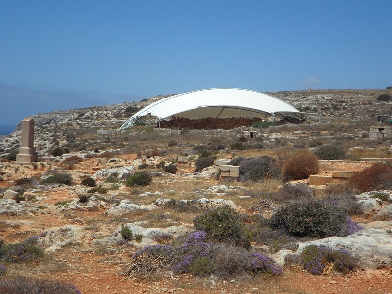 Archaeological Dig